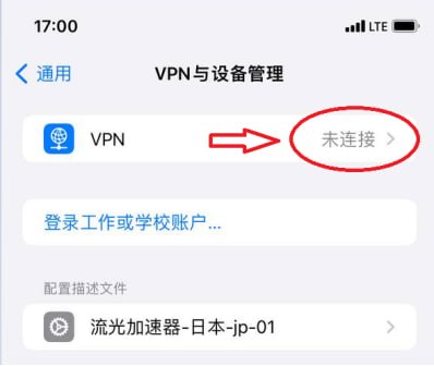 VPN 未连接